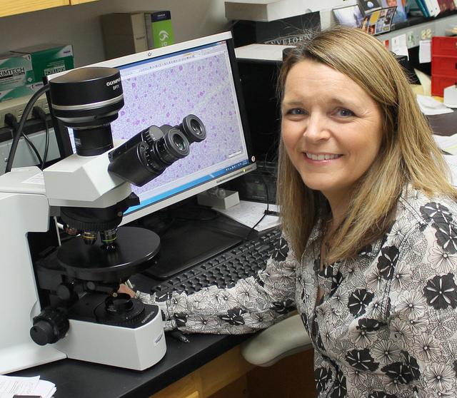Dr. McLellan
