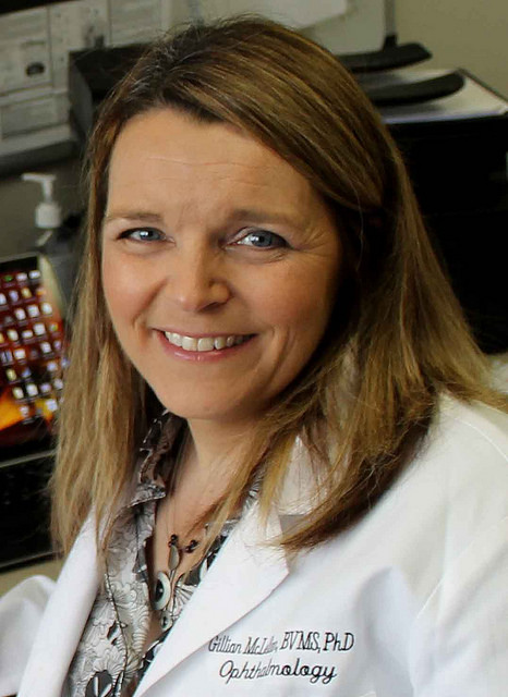 Dr. McLellan