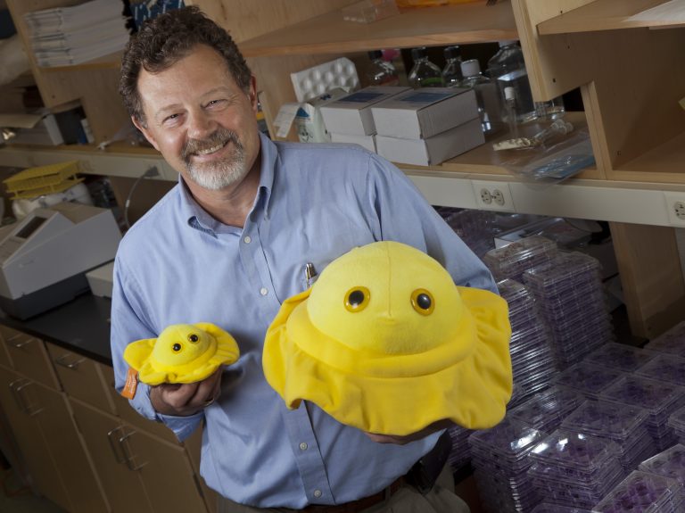 Dr. Curtis Brandt