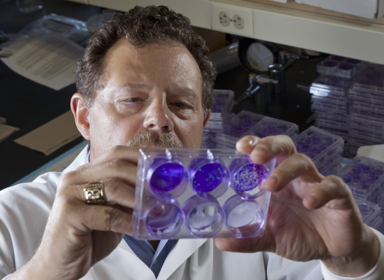 Dr. Curtis Brandt in lab