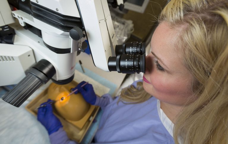 Physician Performing Surgery on a Model