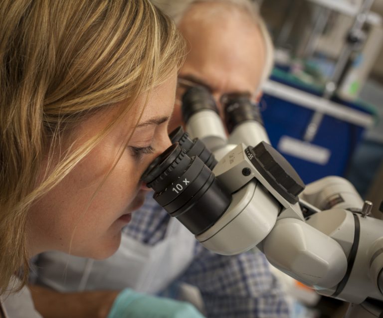 Physician Exam Through Microscopes