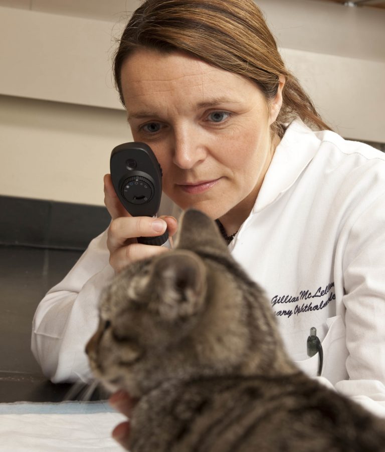 Gillian McLellan Lab