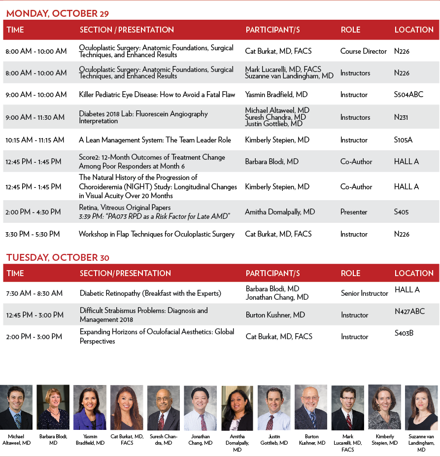 American Academy Of Ophthalmology Meeting 2025 Lorri Malvina