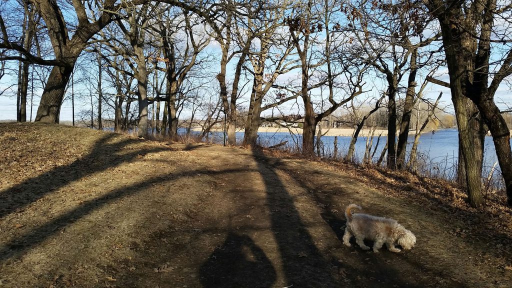 Along the Yahara River with Buddy.