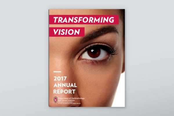 Transforming Vision - 2017 Annual Report