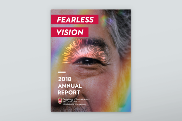 Fearless Vision - 2018 Annual Report