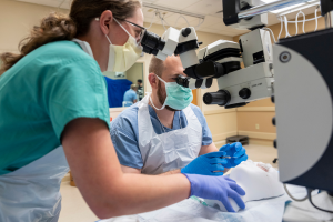 Lab equipment during a training session