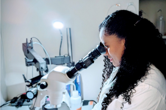 Member of the Hoon Lab examines cells under a microscope.