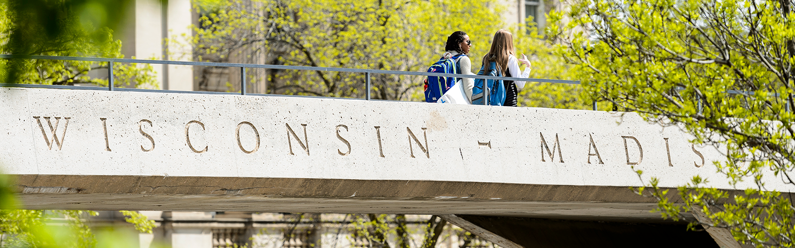 Students walking across the North Park Street pedestrian bridge.