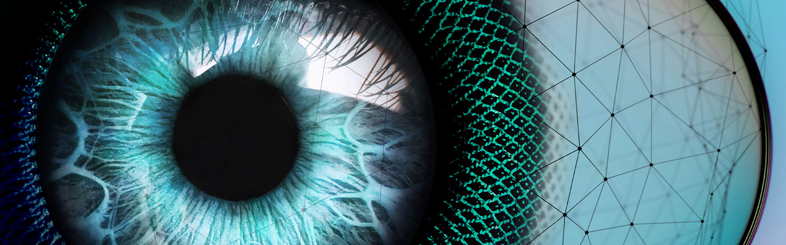 close up of a blue eye