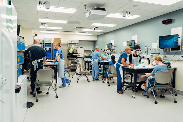 Phaco wet lab